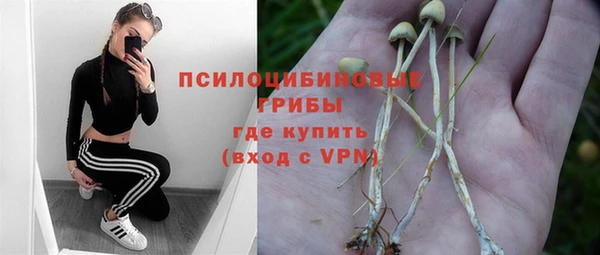 ECSTASY Алексин