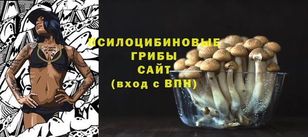 ECSTASY Алексин