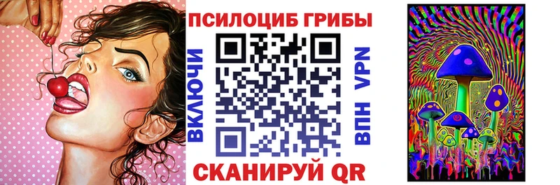 blacksprut tor  как найти   Кола  Галлюциногенные грибы Psilocybe 